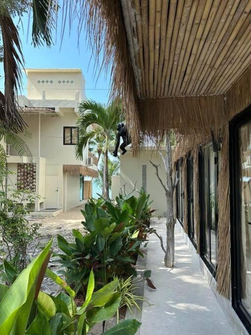 Happy Coco Monkey Apartment *